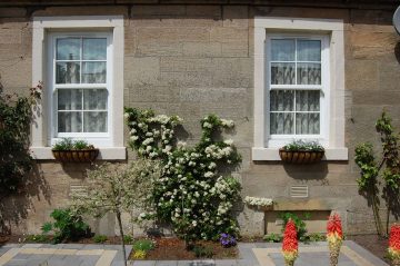 Sash Windows